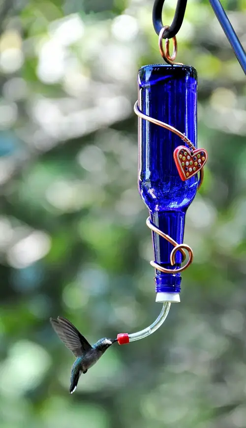 Wine Bottle Hummingbird Feeder