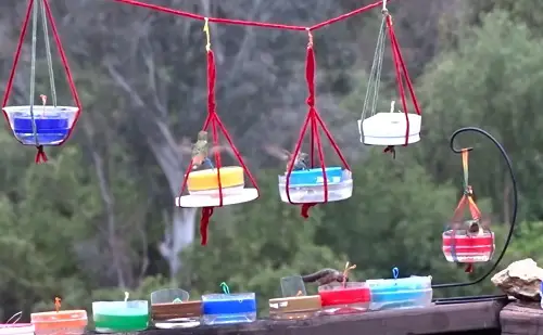 Peanut Butter Jar Feeder