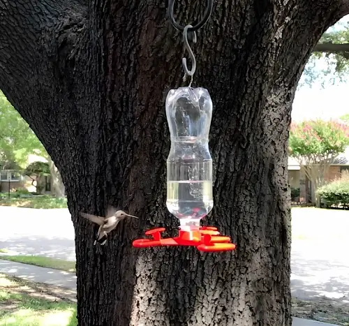 hummingbird 3D Printed Bird Feeder