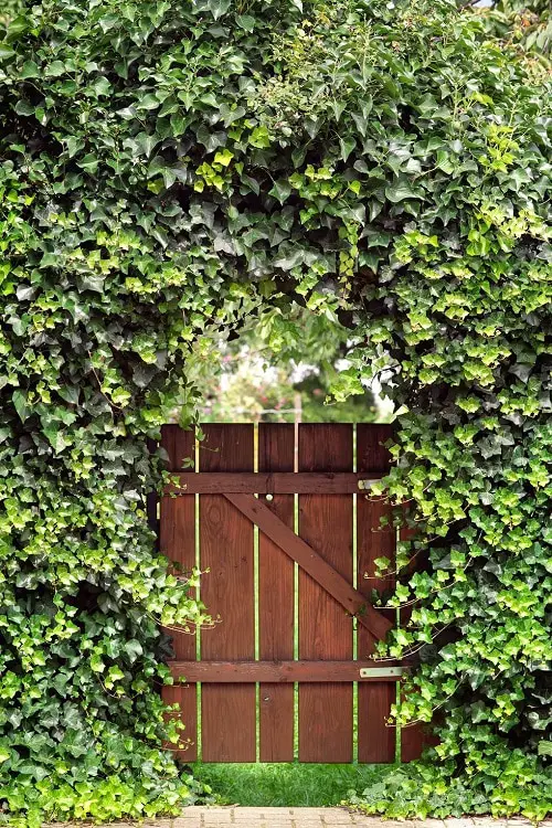 Garden Entrance Door Ideas 2
