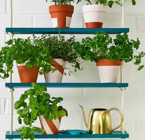 Diy Hanging Shelves Herb Garden