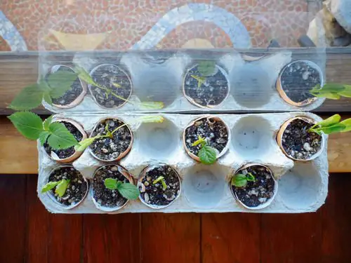 Kid-friendly Ideas for Gardens and Backyards 2