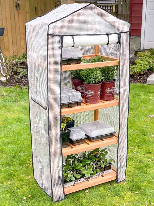 DIY Backyard Ideas in Budget 2