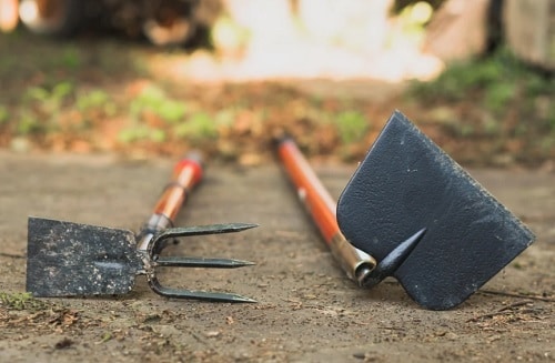 Gardening Hacks for Senior Gardeners 5