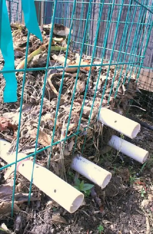 Pinterest Garden Hacks 3
