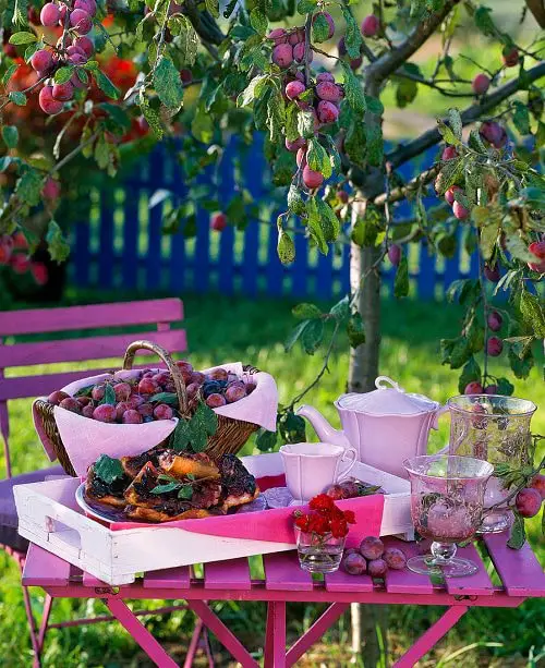 Best Cold Tolerant Fruit Trees 3