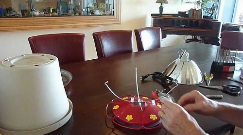 Winter DIY Hummingbird Feeder