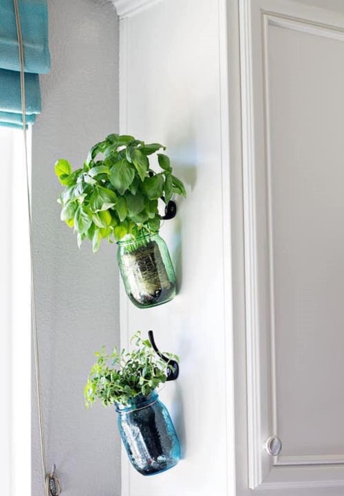 Diy Hanging Jars Herb Garden