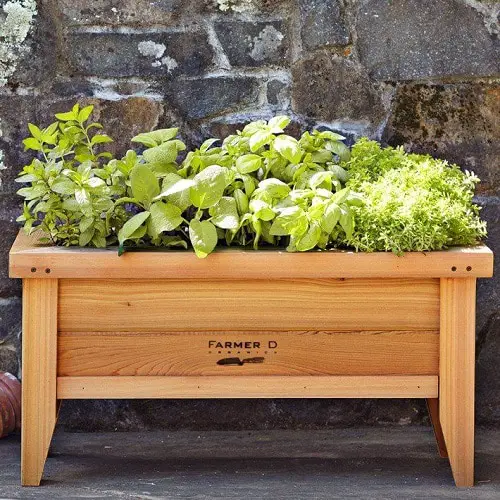 Gardening Hacks for Senior Gardeners 9