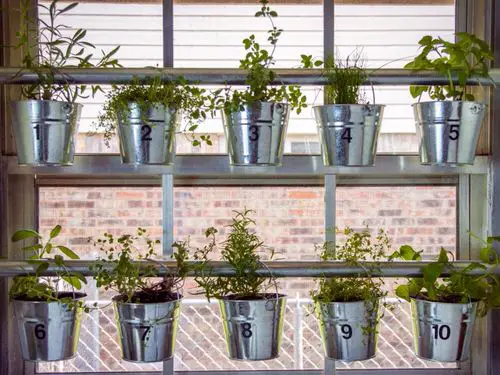 Diy Window-Mounted Hanging Herb Garden