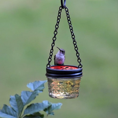 DIY Hummingbird Jelly Jar Feeder