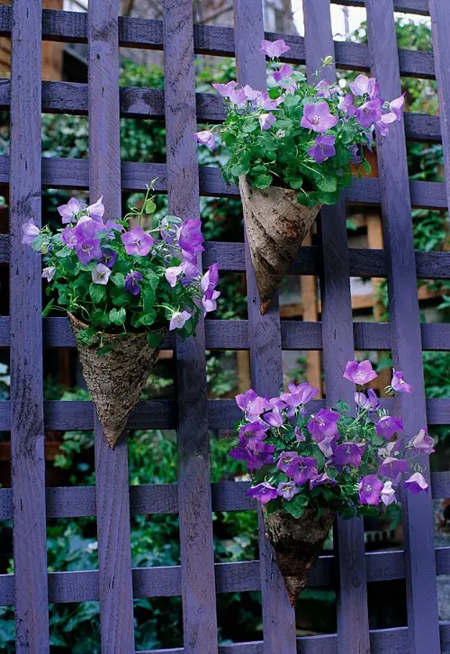 Blue Flower Names and image