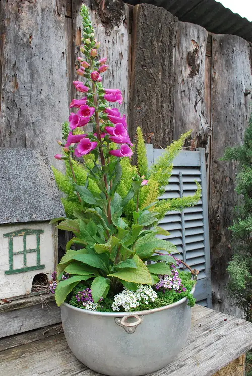 Best and Worst Child-Friendly Plants 35