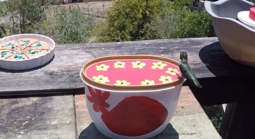 Feeder from Food Container