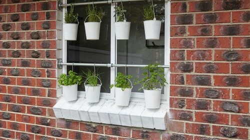 White Buckets Hanging Herb Garden