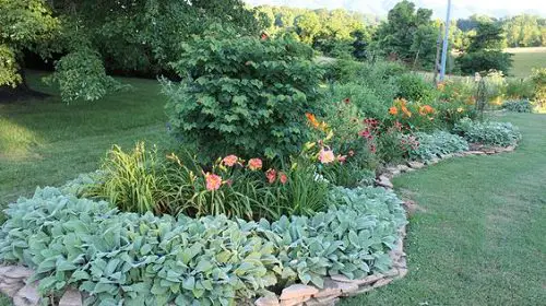 Plants That Can Withstand Deer Damage