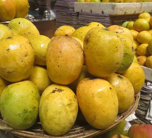 Mankurad