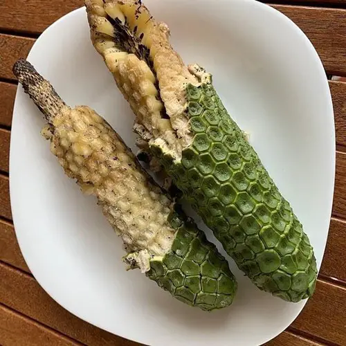 Benefits of Eating Monstera Deliciosa Fruit