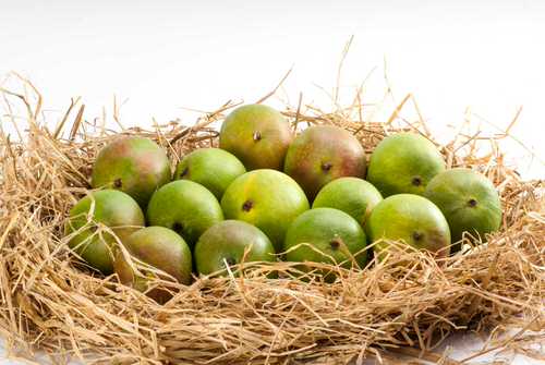 Different Types of Mangoes Raspuri
