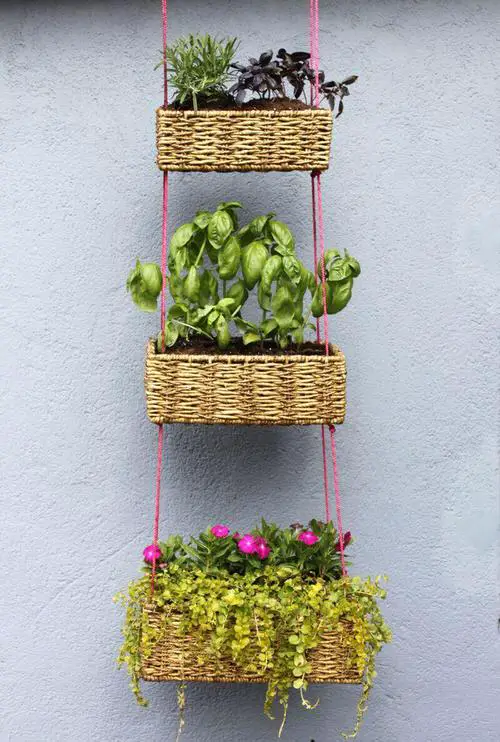 Diy Hanging Basket Herb Garden