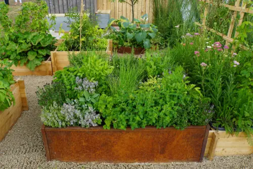 Must Do Things in Garden in Summers 