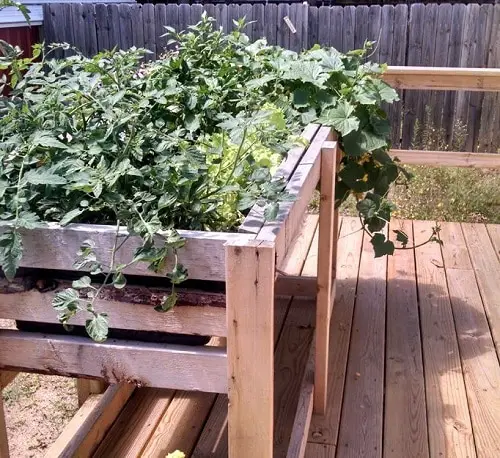 Diy Dog Proof Garden Bed