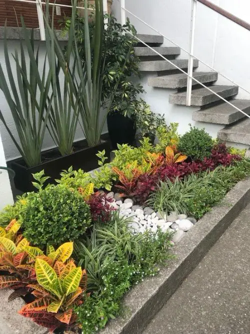 Landscaping with Croton Pictures 11