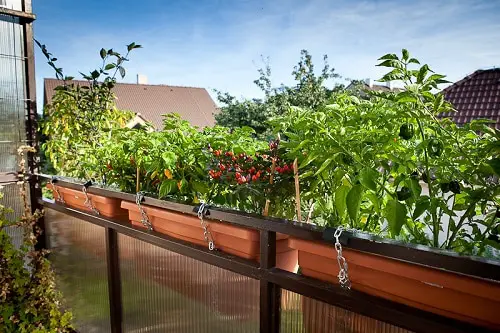 Balcony Homesteading Ideas 44