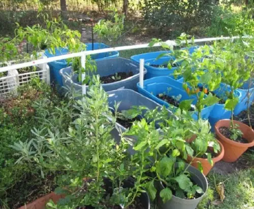 Cheats for Garden 8