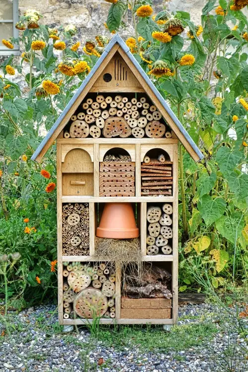 Must Do Things in Garden in Summers 11