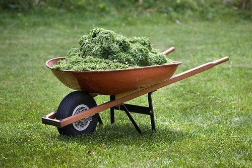 Cheats for Garden 2