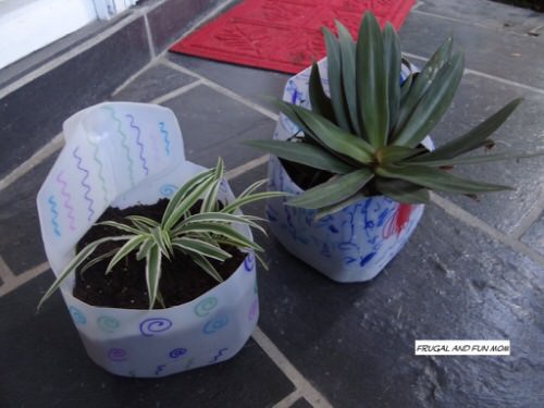 DIY Milk Jug Uses in Garden 2