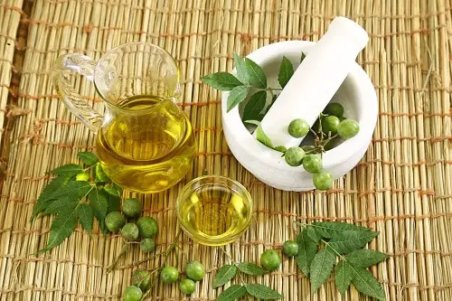 DIY Homemade Mosquito Repellant Ideas 6