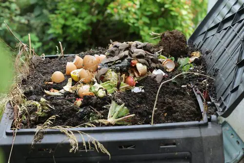 Kitchen Scraps
