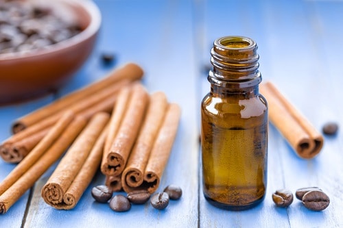 DIY Homemade Mosquito Repellant Ideas 8