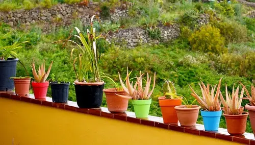 Balcony Homesteading Ideas 4