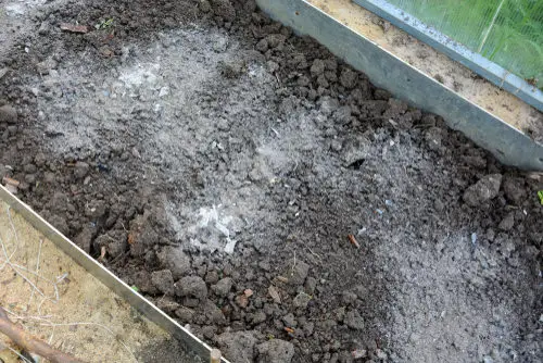 Wood Ash