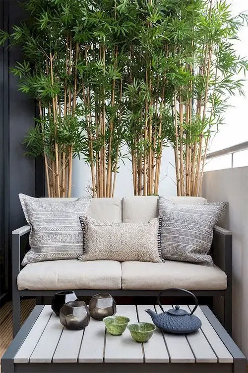 Best Large Indoor Plants-Bamboo