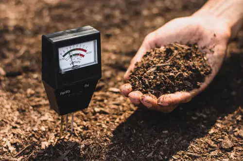 Check and Control Soil pH