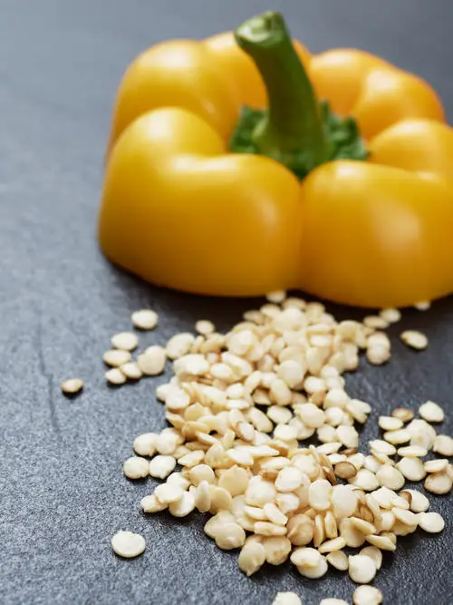 Capsicum and Its Seeds