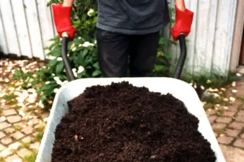 Urine in soil