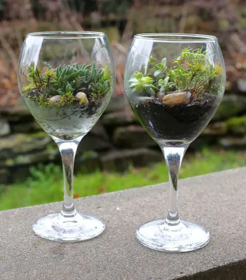 Best Places to Find Free Gardening Containers 6