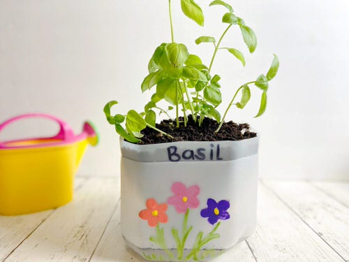 DIY Milk Jug Uses in Garden 8