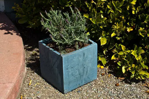 DIY Concrete Ideas For Garden 7