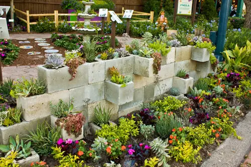 Outdoor Succulent Decoration Pictures 14