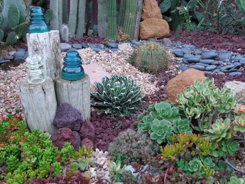 Outdoor Succulent Decoration Pictures 15