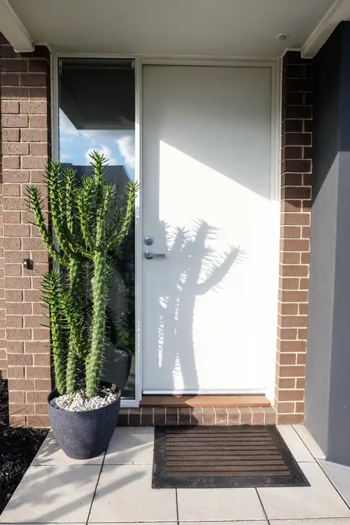 Best Entrance Plants Pictures 28