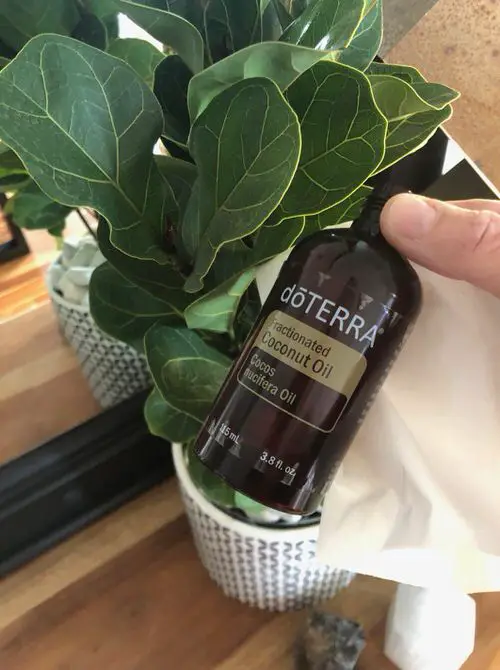 Using Coconut Oil for Plants 2