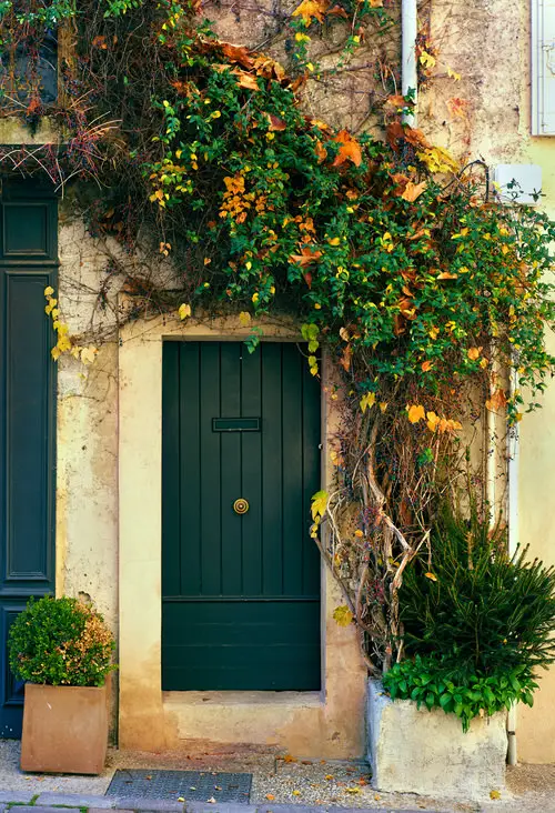 Best Entrance Plants Pictures 12