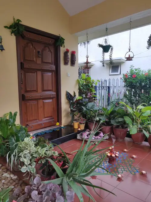 Best Entrance Plants Pictures 16